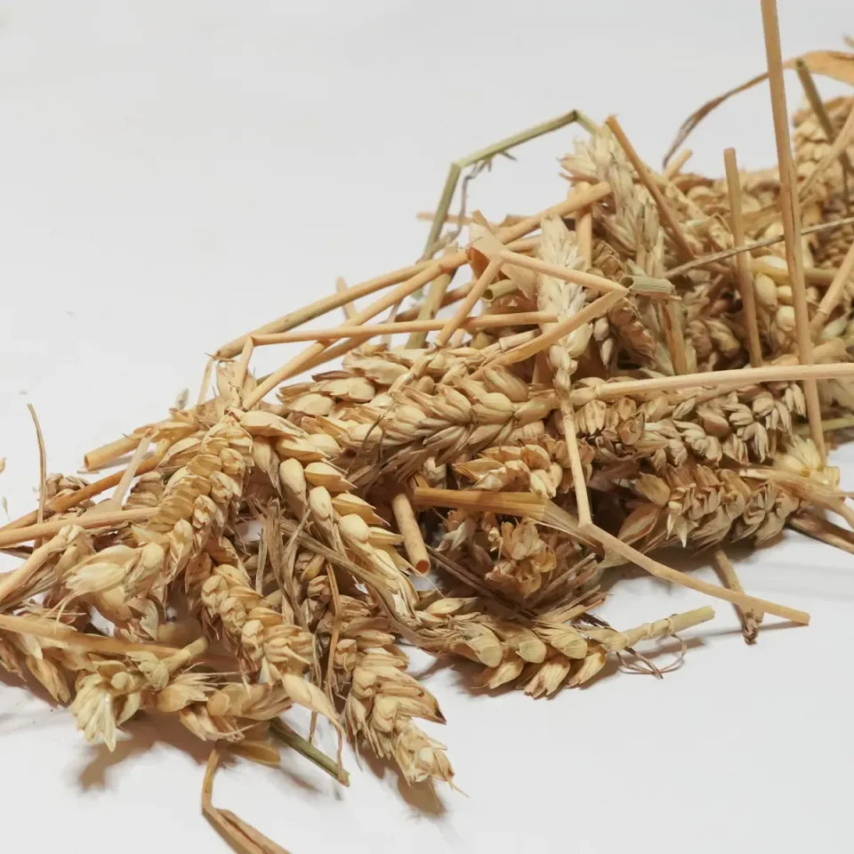 Jouw Konijn Originals tarwe aren snack natuurlijke vezels