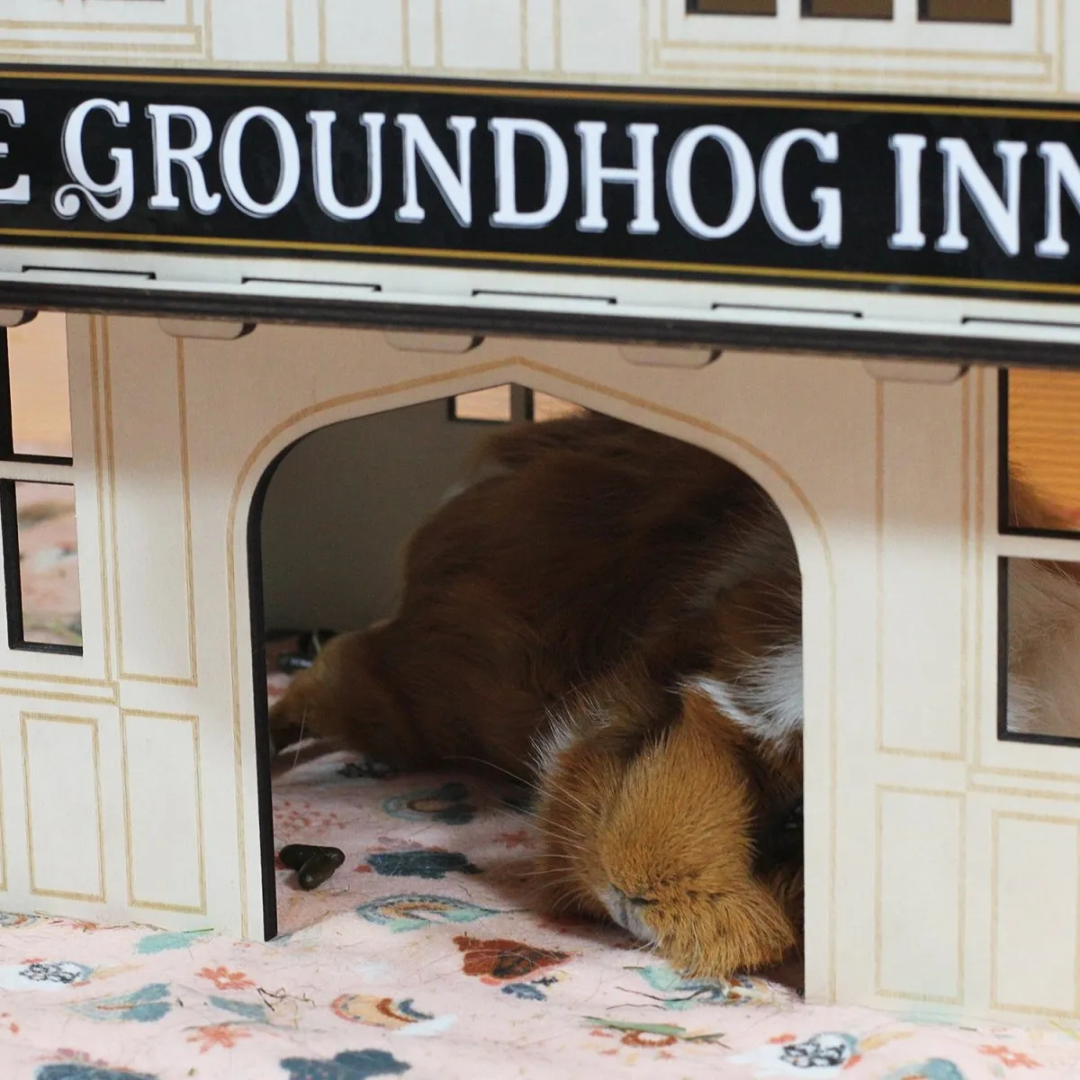 HayPigs Groundhog Inn schuilhuis hout knaagveilig dorpshuis