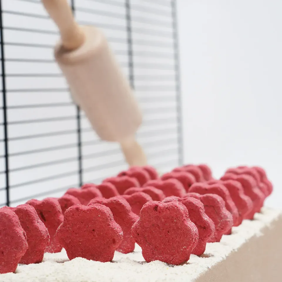 Jouw Konijn Originals Best of Beetroot koekjes rode biet
