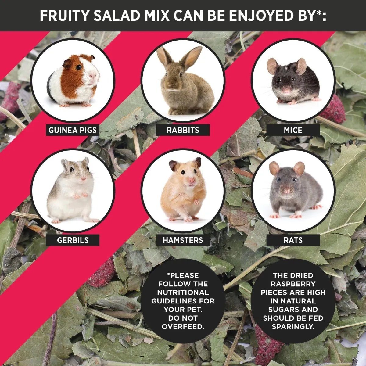 HayPigs Pig n Mix Fruity Salad snack 120g pot