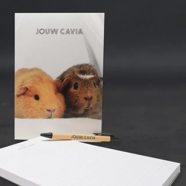 Jouw Cavia Notebook notitieboek met pen cavia