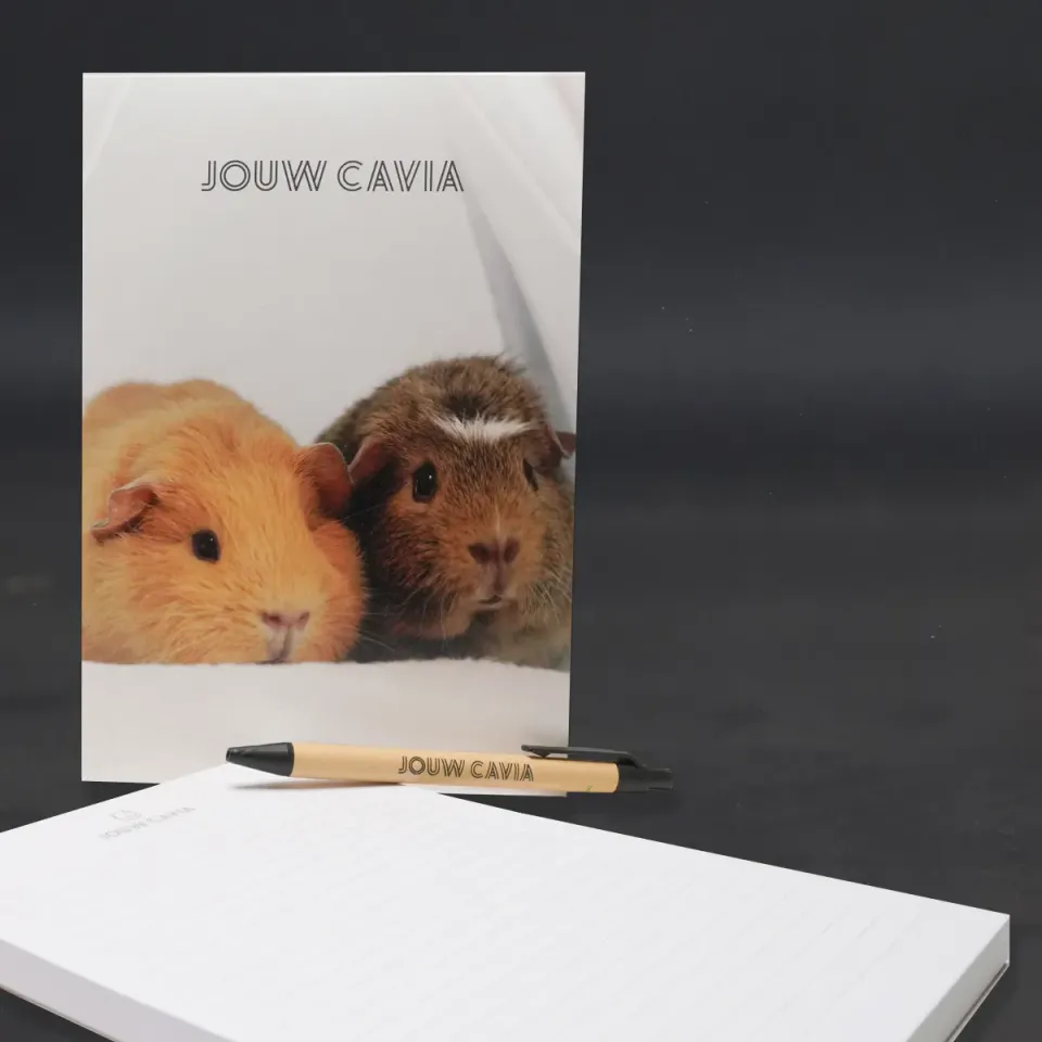Jouw Cavia Notebook notitieboek met pen cavia