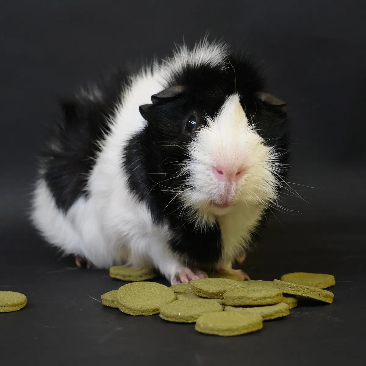 Jouw Cavia Spinach Supreme cookies snack spinazie