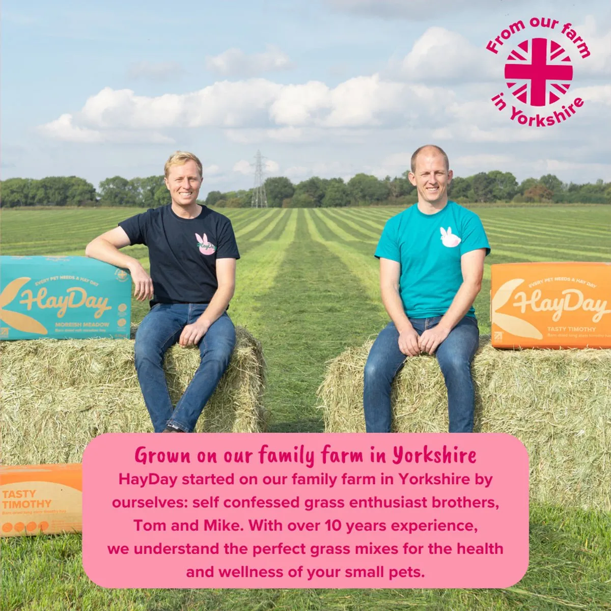 HayPigs HayDay Sweet & Munchy hooi 1kg zoet raaigras