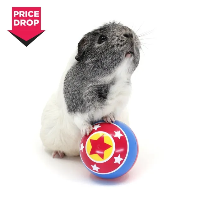 HayPigs Circus Treat Ball snackbal 3-in-1 kunststof