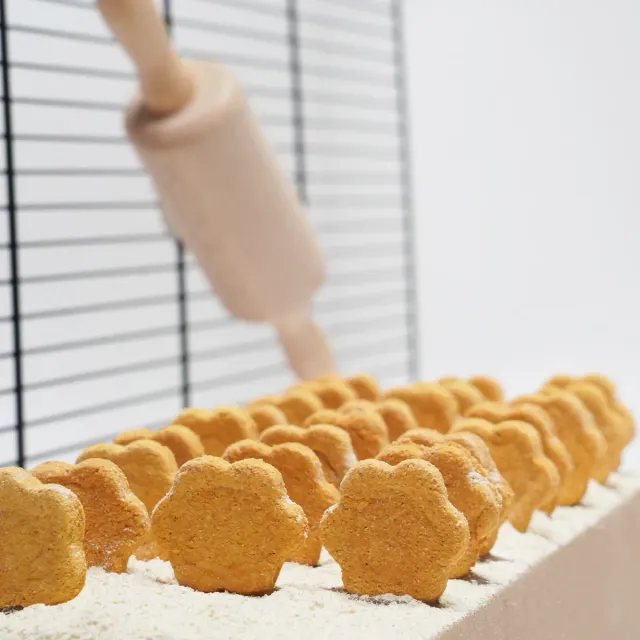 Jouw Konijn Originals Tasty Tomato konijnenkoekjes tomaat