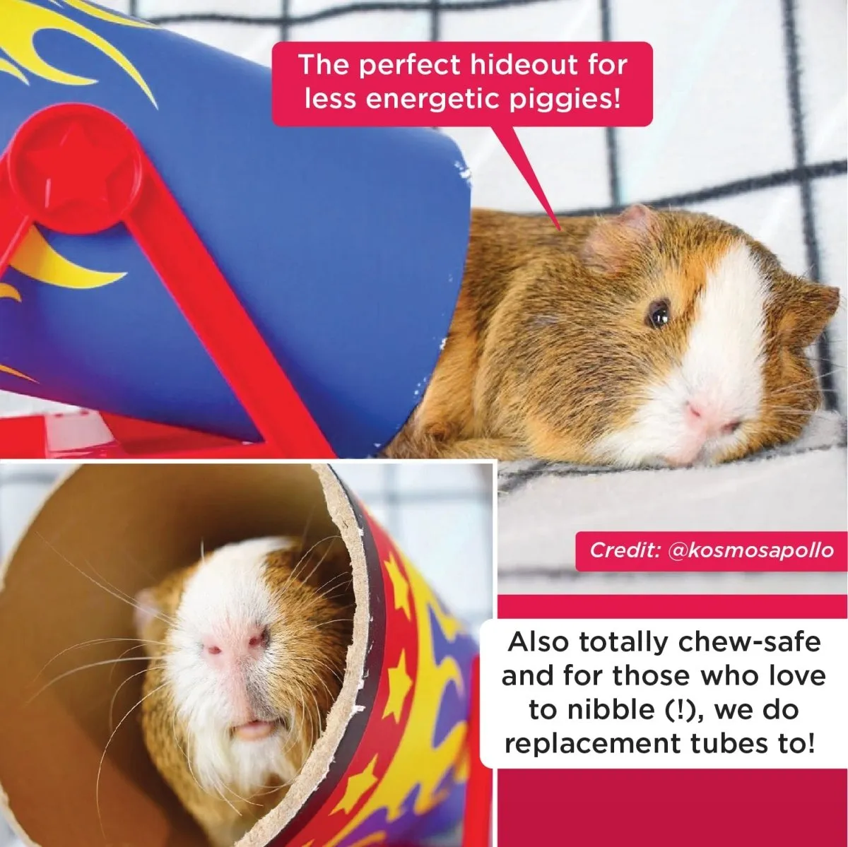 HayPigs Cavy Cannonball tunnel cavia 21,5cm karton kantel