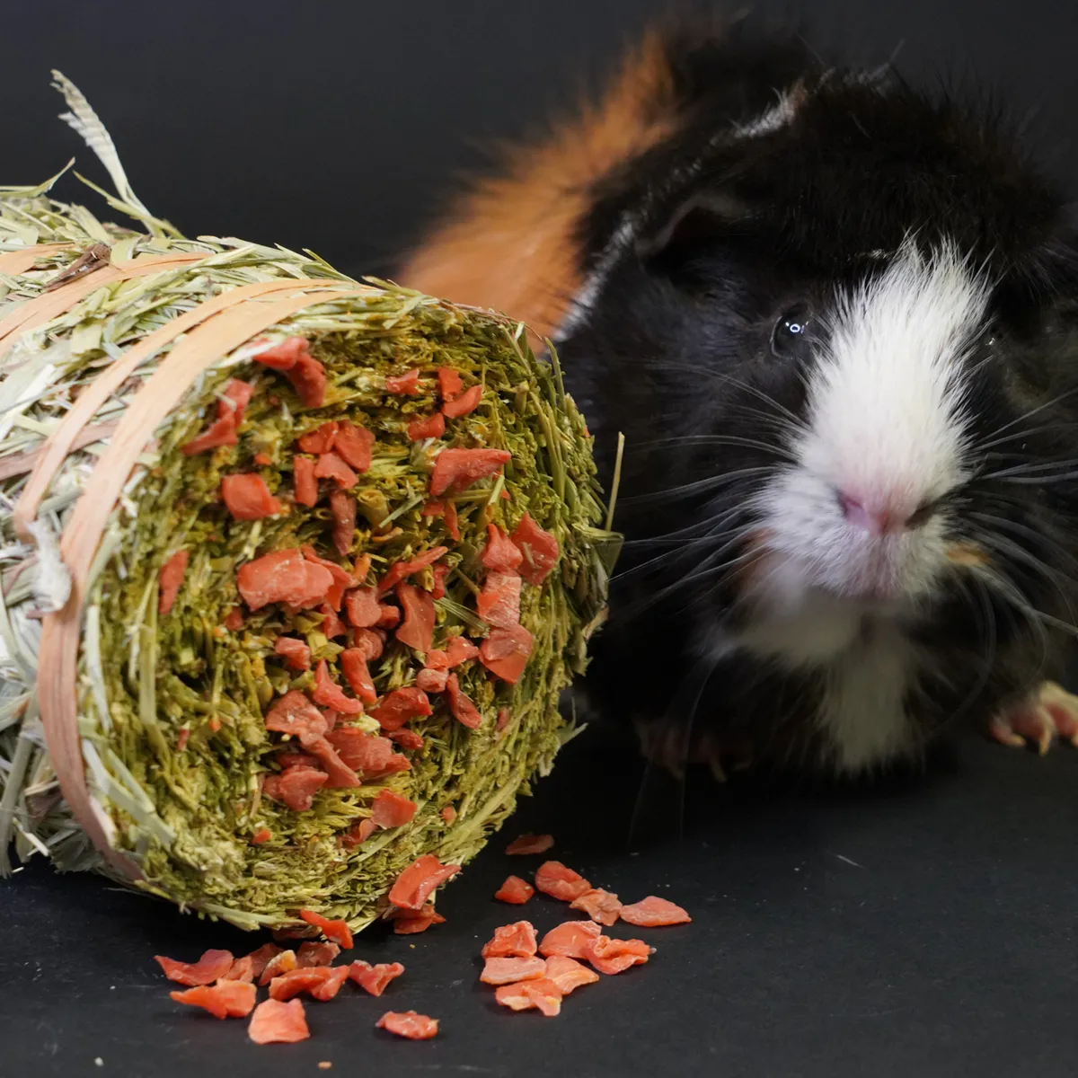 Jouw Cavia Hay Cake Wortel hooikoek vezelrijk
