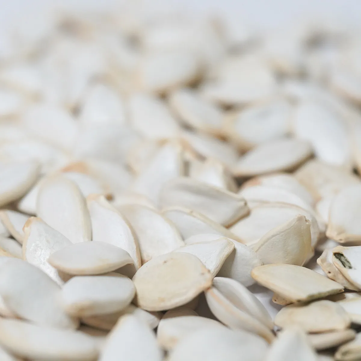 Jouw Konijn Originals Pompoenpitten snack natuurlijk