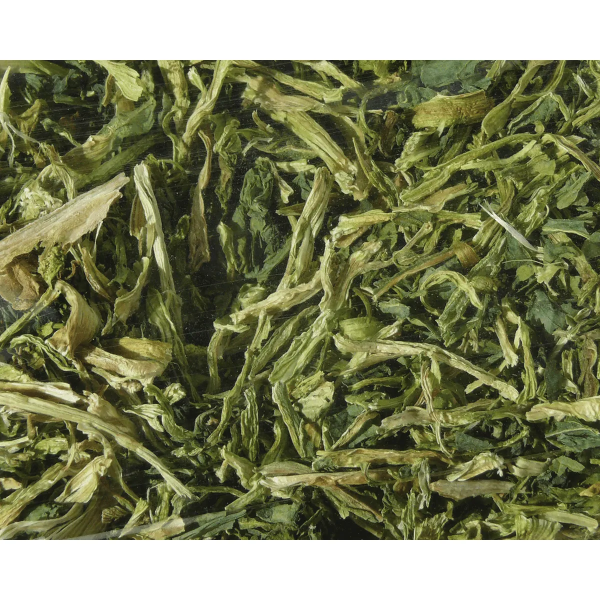 Bounty Paradise NT spinaziebladeren 150 gr gedroogd