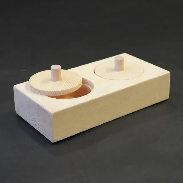 Jouw Cavia Pick & Find Mini houten spel denkspel