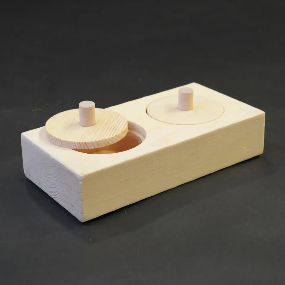 Jouw Cavia Pick & Find Mini houten spel denkspel