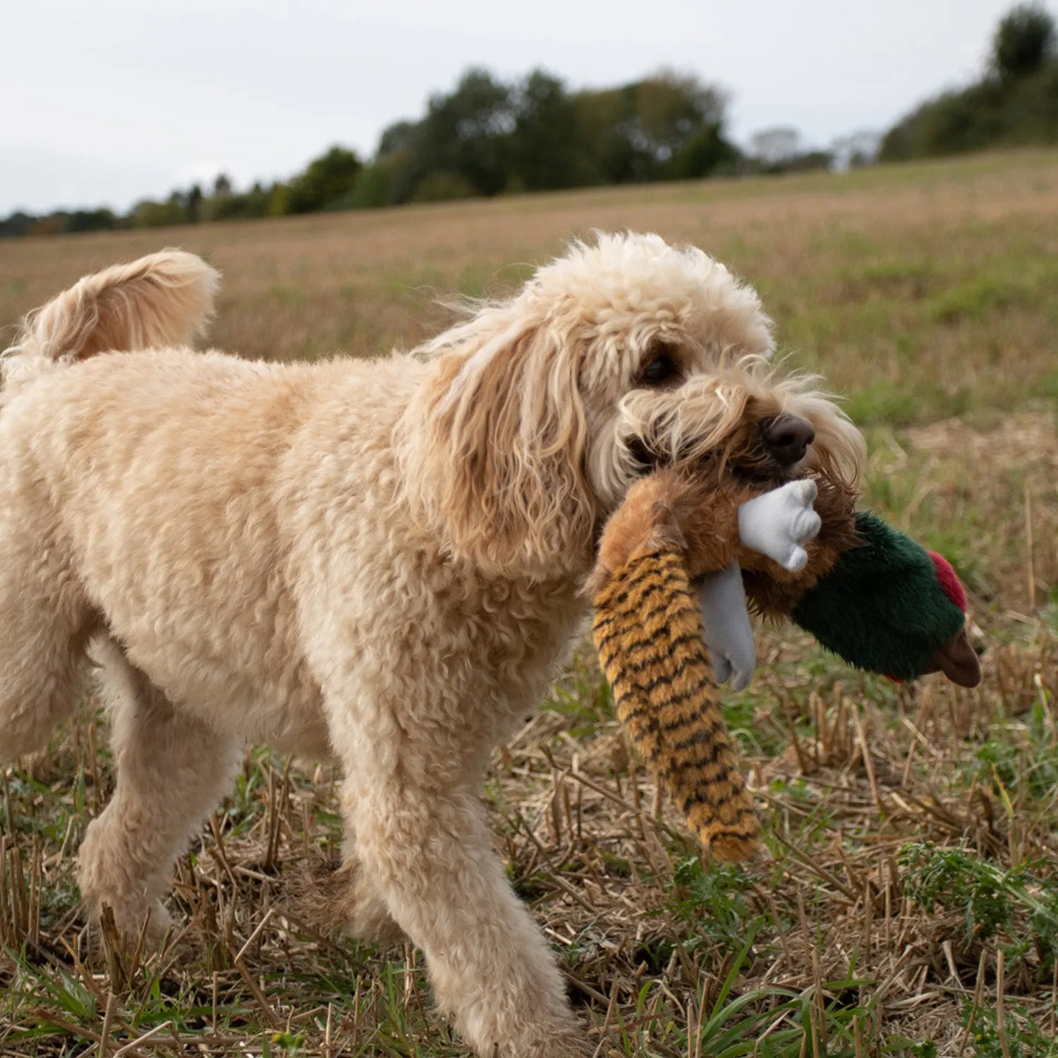 Nature First Migrator Pheasant hondenspeelgoed zacht met piep