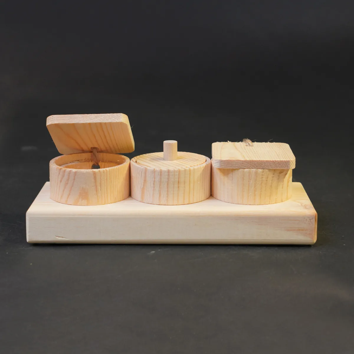 Jouw Cavia Lift & Find Mini denkspel hout