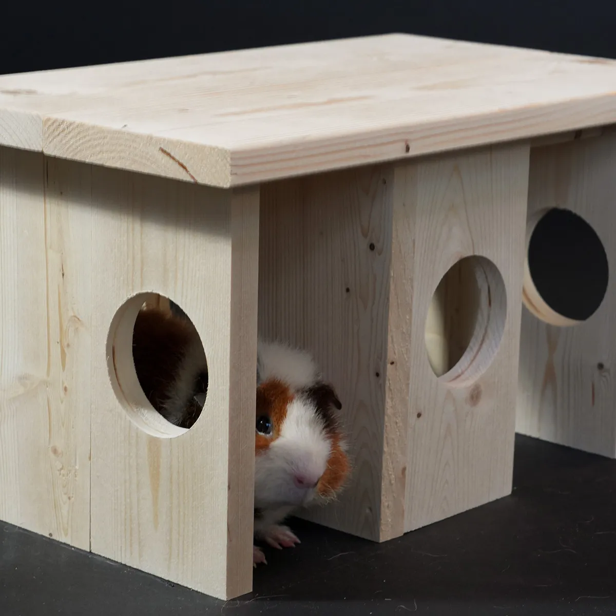 Jouw Cavia Ymir XS schuilplek houten huis cavia