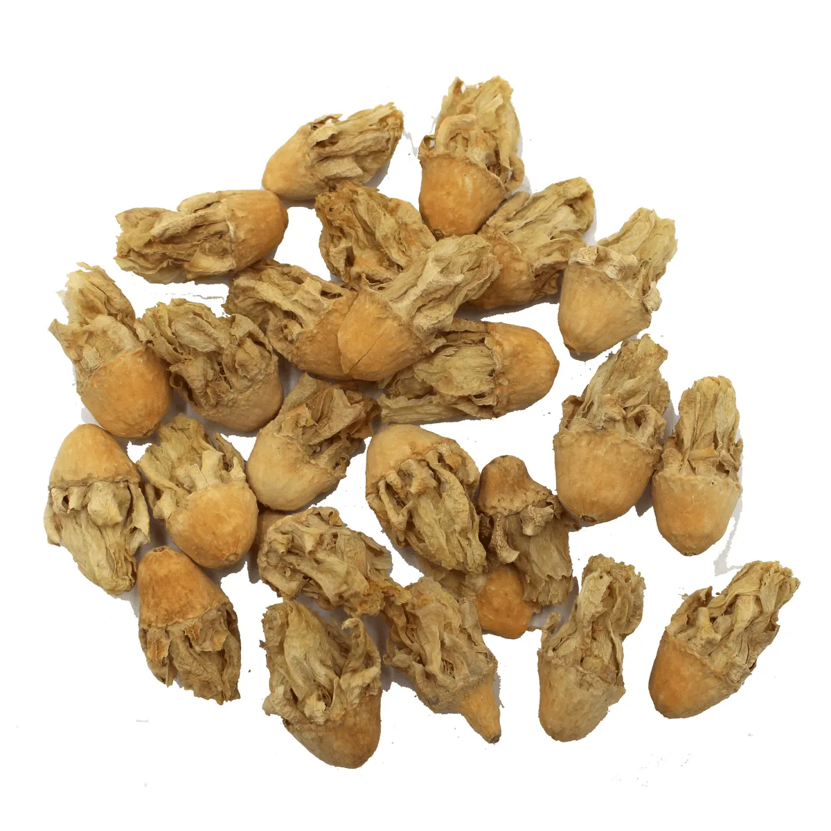 Bounty Paradise NT Kaktusblüten snack 50 gr gedroogd