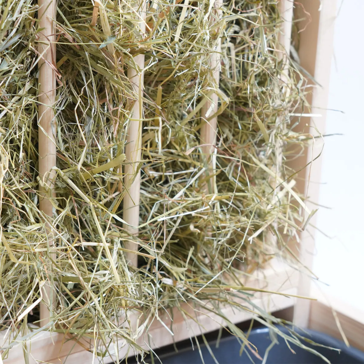 Jouw Konijn Originals Hooiruif Odin vurenhout