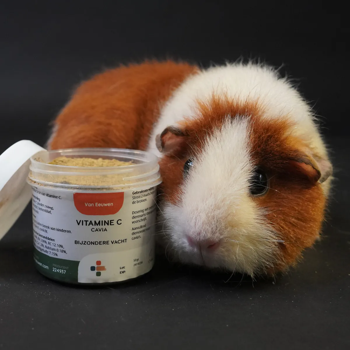 Jouw Cavia Vitamine C supplement bijzondere vacht teddy skinny