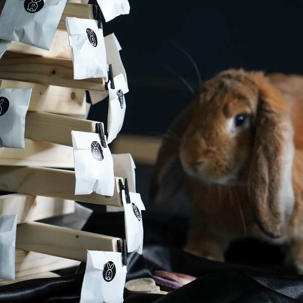 Jouw Konijn Originals Adventskalender 2026 met koekjes