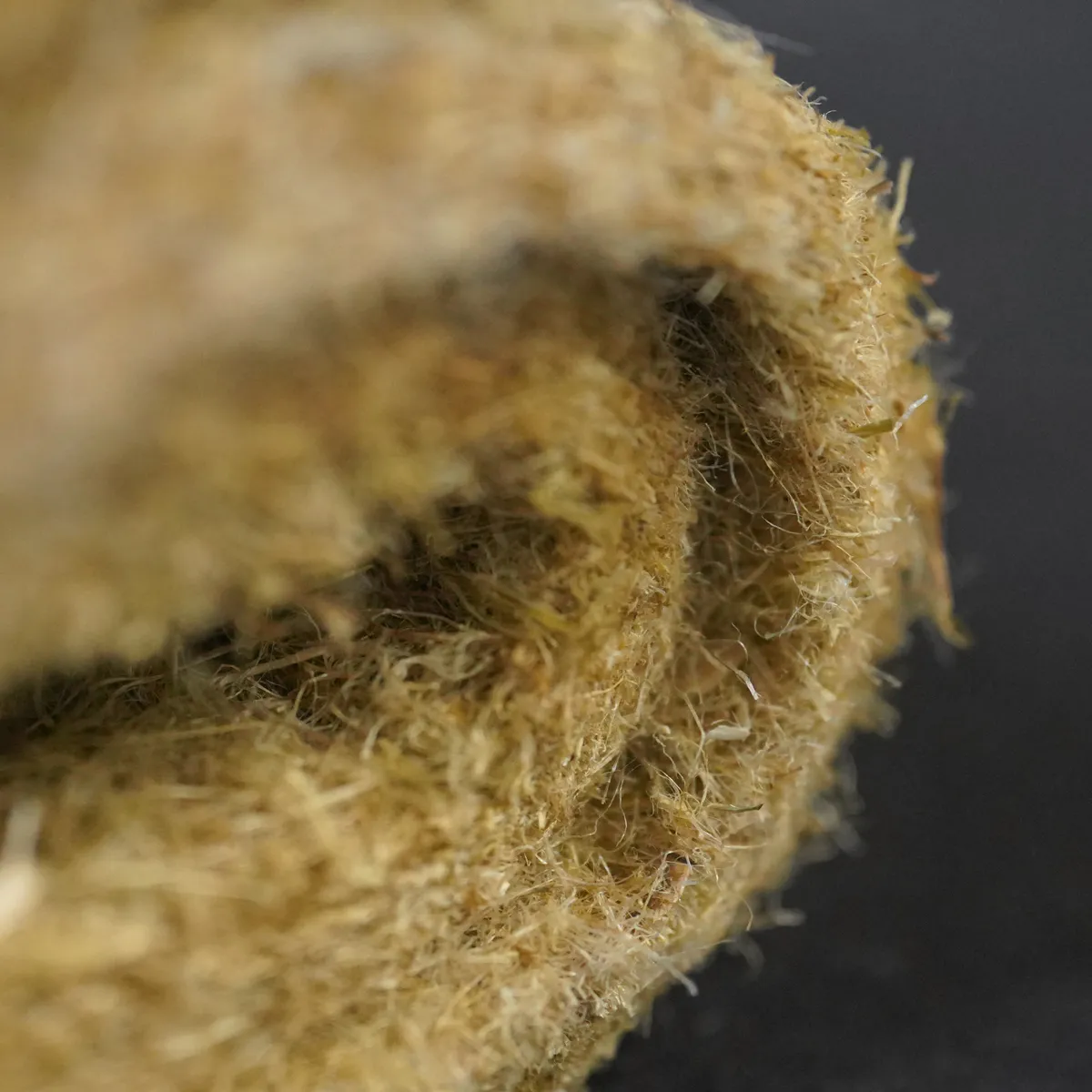 Jouw Cavia Hennepmat S bodembedekking knaagveilig