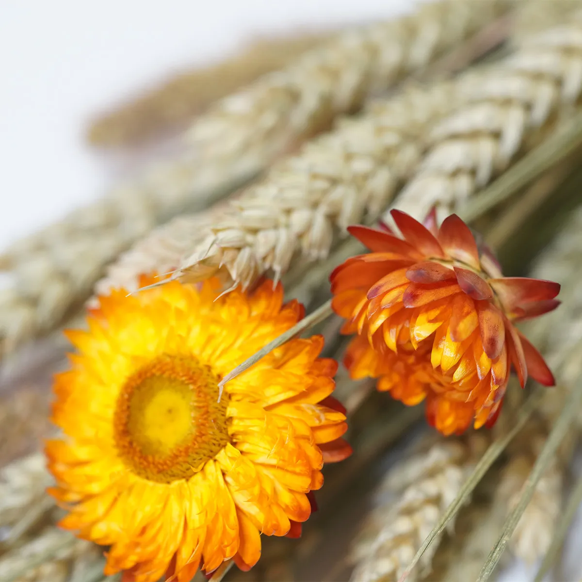 Jouw Konijn Originals Nibble Bouquet knabbelboeket kruiden