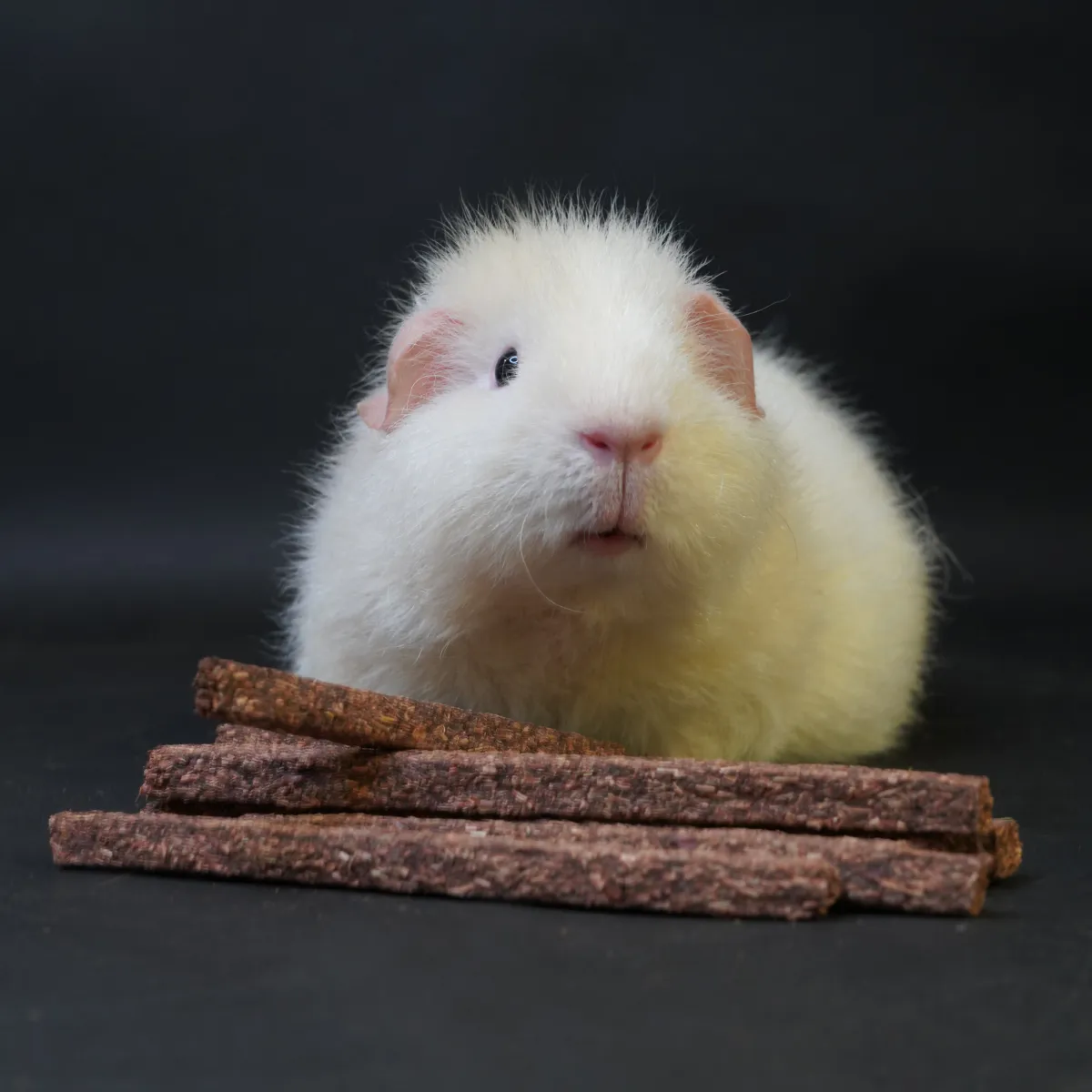 Jouw Cavia Naturals forest sticks caviasnack vezelrijk