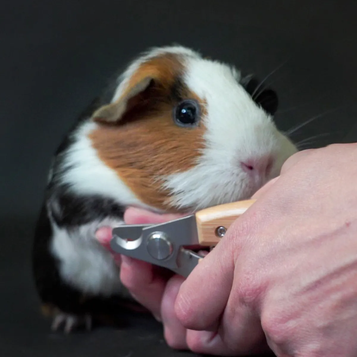 Jouw Cavia Nagelschaar Wood M nagelknipper bamboe