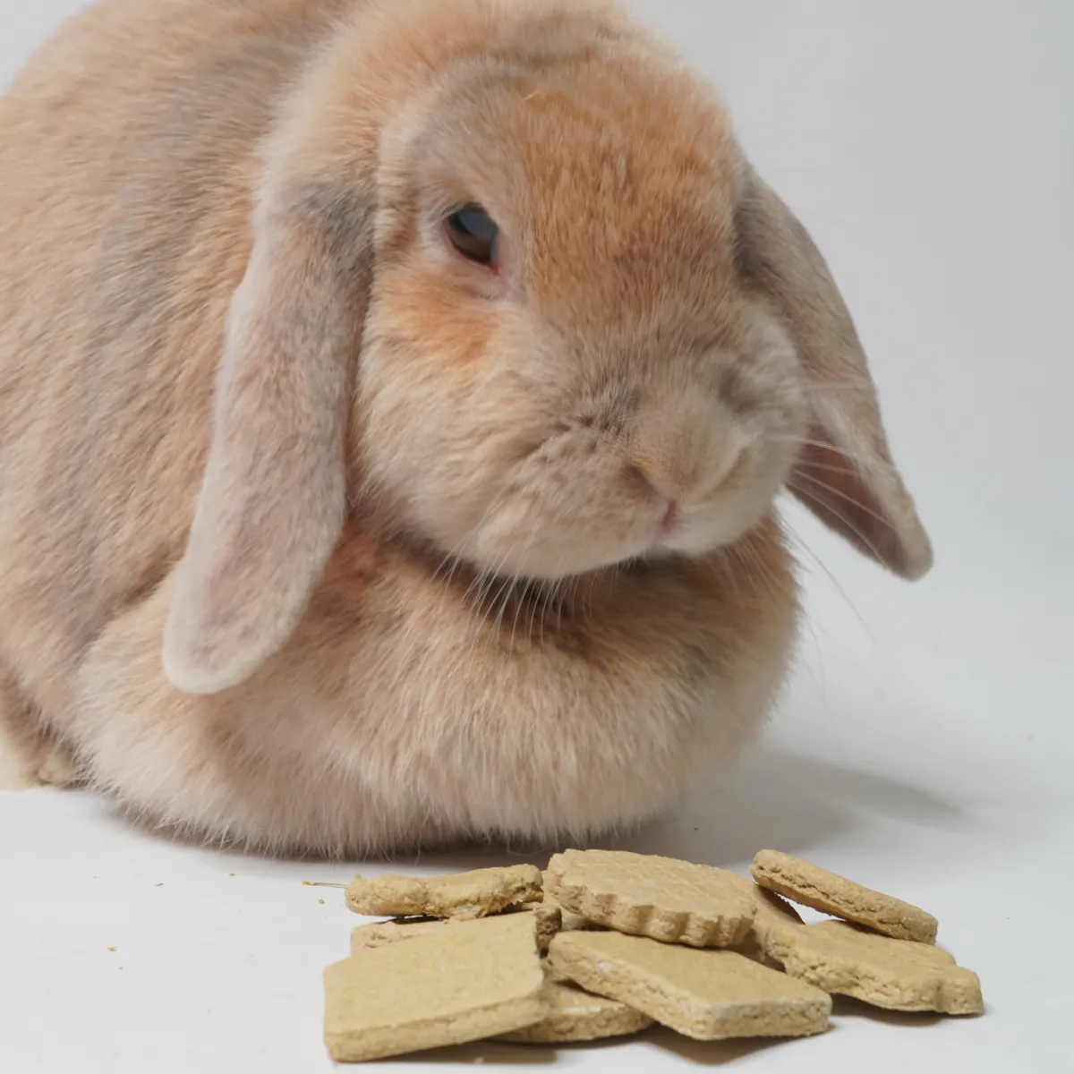 Jouw Konijn Cookie Mix snack kruiden koekjesmix natuurlijk