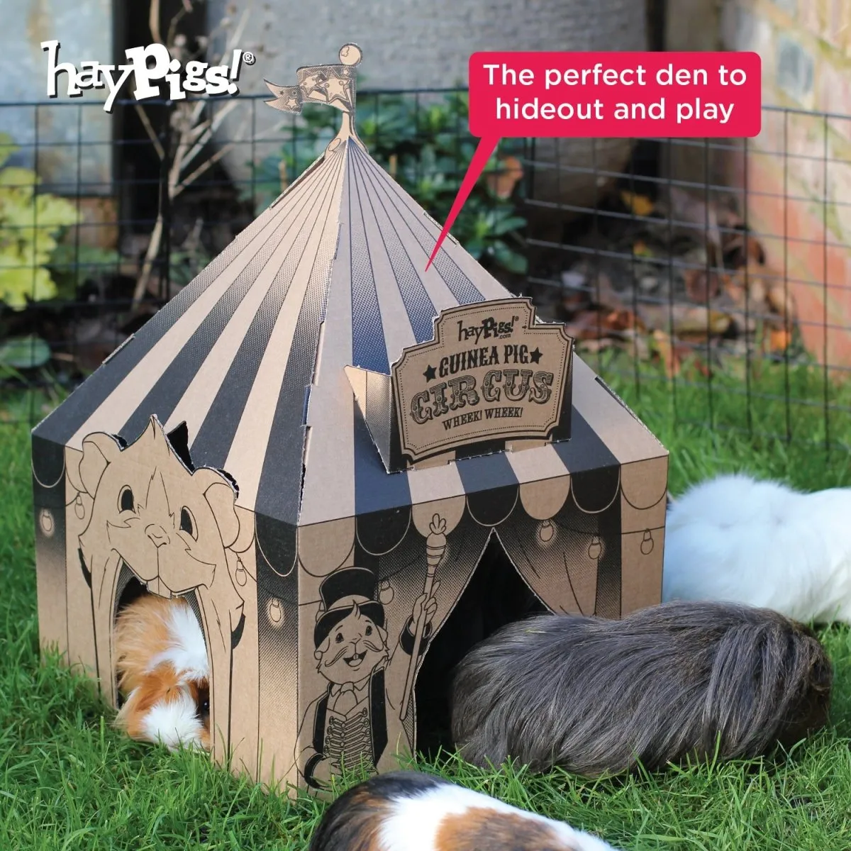 HayPigs Pig Top Playhouse schuilhuis 3 stuks karton 33cm