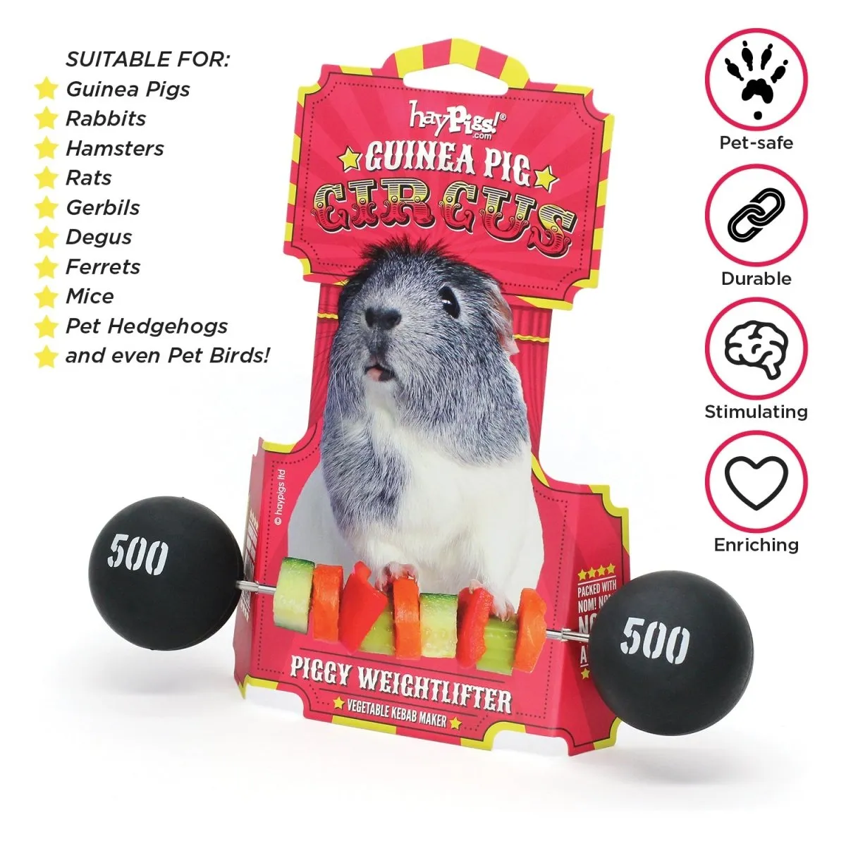 HayPigs Piggy Weightlifter groentespies cavia 21,5 cm horizontaal