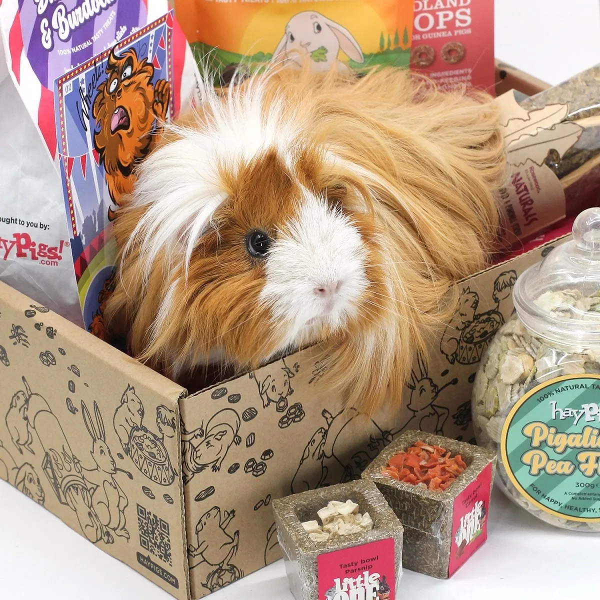HayPigs Treat Box 02 snackbox cavia konijn luxe