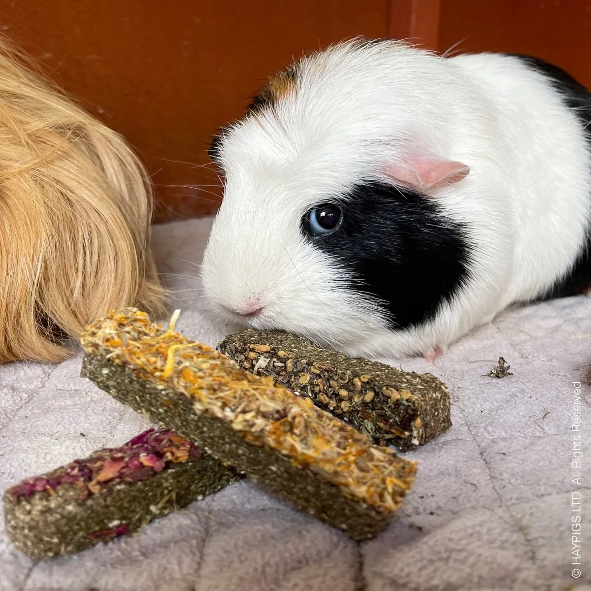 HayPigs Sunshine Treats snackbundel 6-delig bloemen
