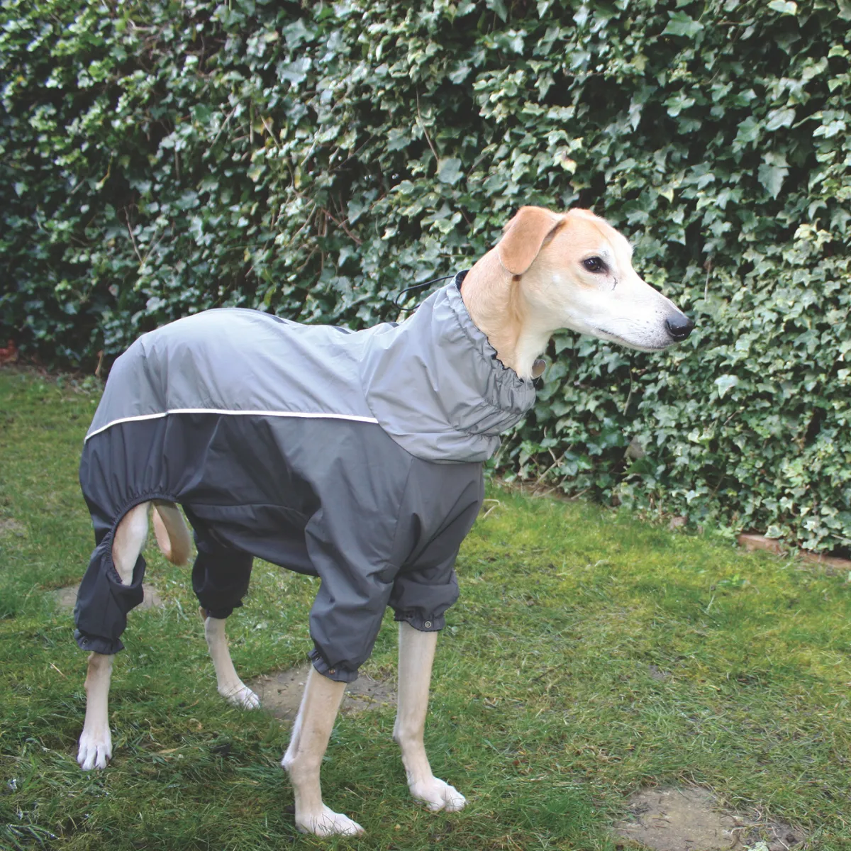 Nature First Kudos Waterproof Mud Suit hondenjas Pewter Small winddicht