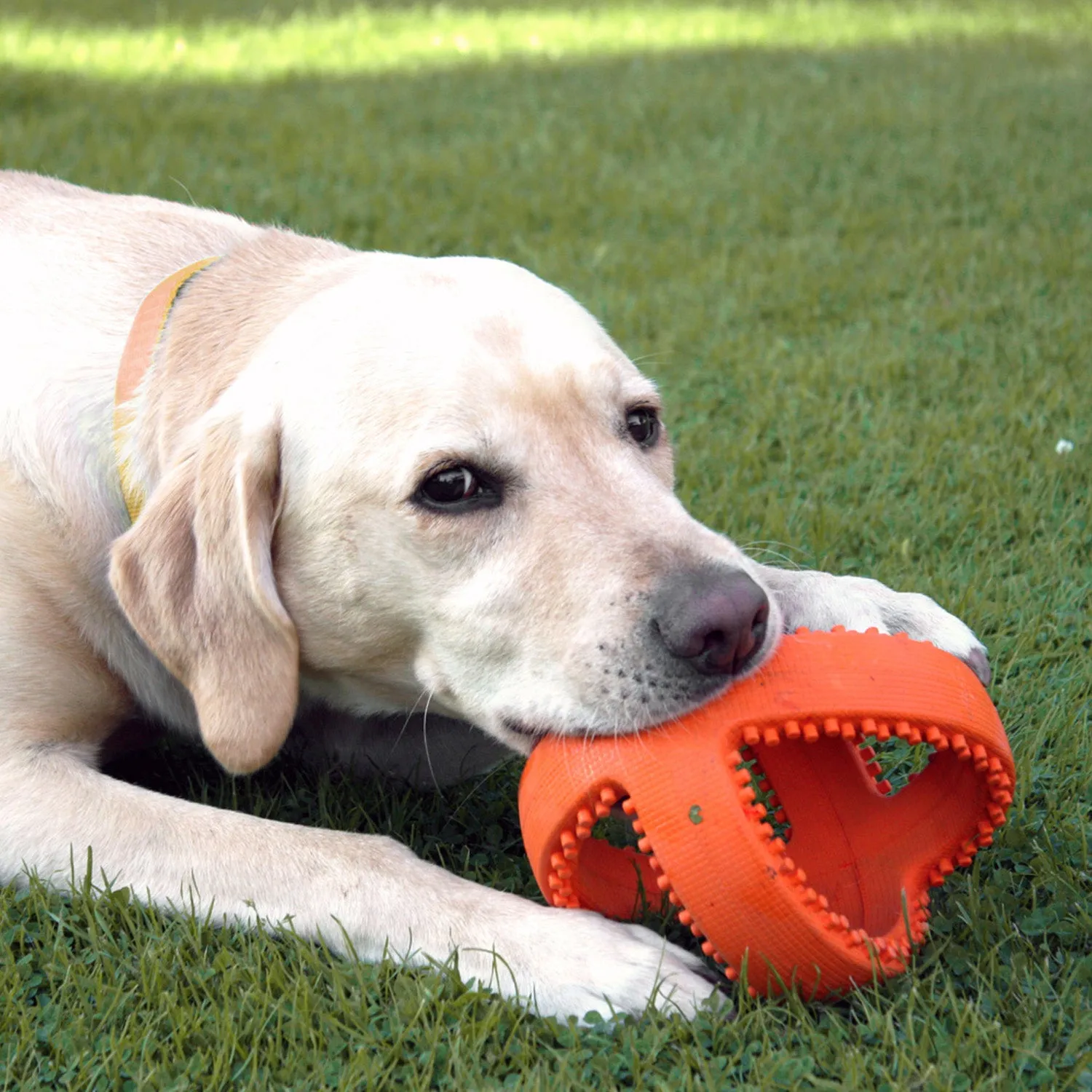 Nature First Grubber Tough Football hondenspeelbal rubber