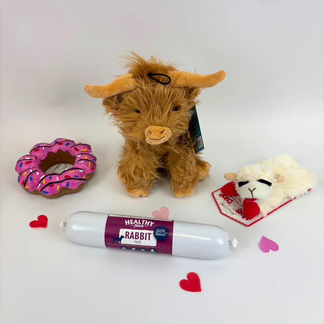 Nature First Love Box hondenspeelgoed set 4-delig