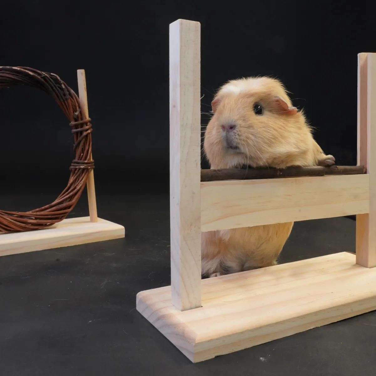 Jouw Cavia Jump & Play hindernisset bruin hout verstelbaar