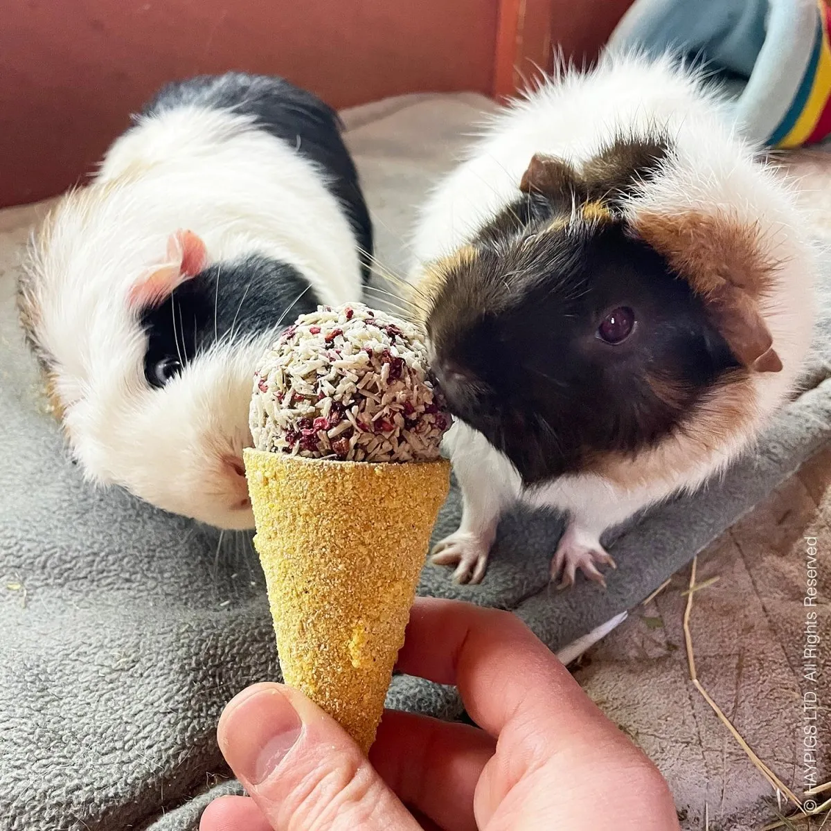 HayPigs Sunshine Treats snackbundel 6-delig bloemen