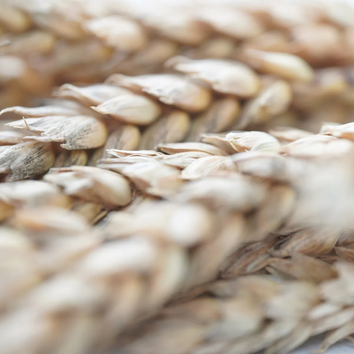 Jouw Konijn Originals tarwe aren snack natuurlijke vezels