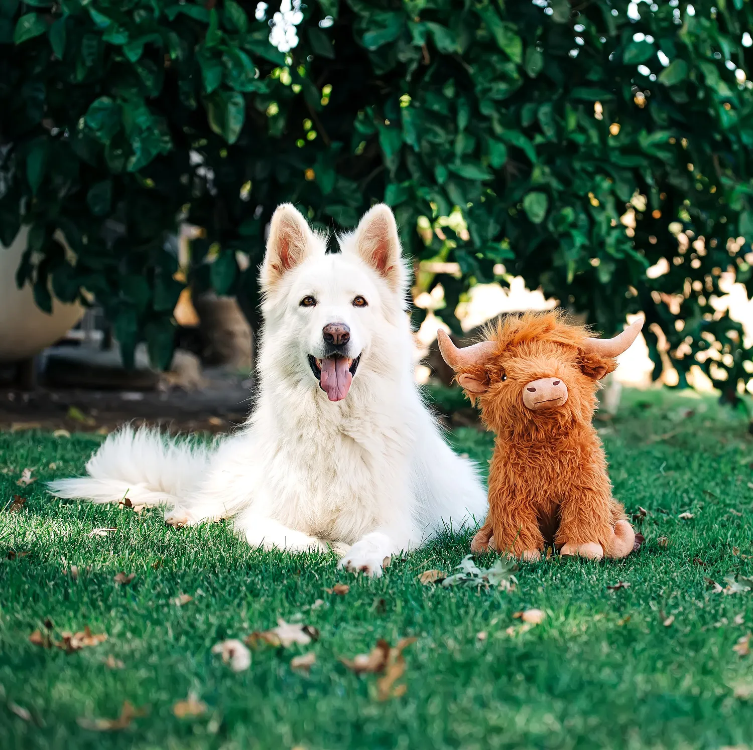 Nature First Highland Cow Jumbo hondenknuffel bruin met piep