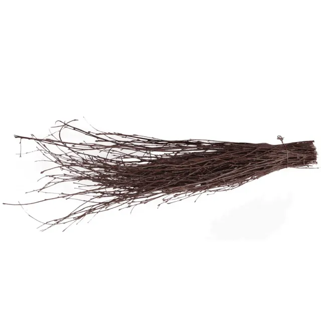 Bounty Paradise Nager Knabberbesen knaagbezem 40 cm berken
