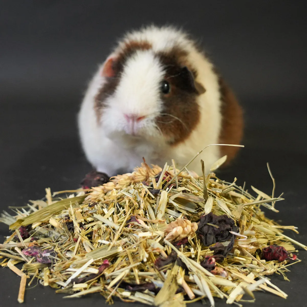 Jouw Cavia Korenveldmix cavia snack vezelrijk natuurlijk