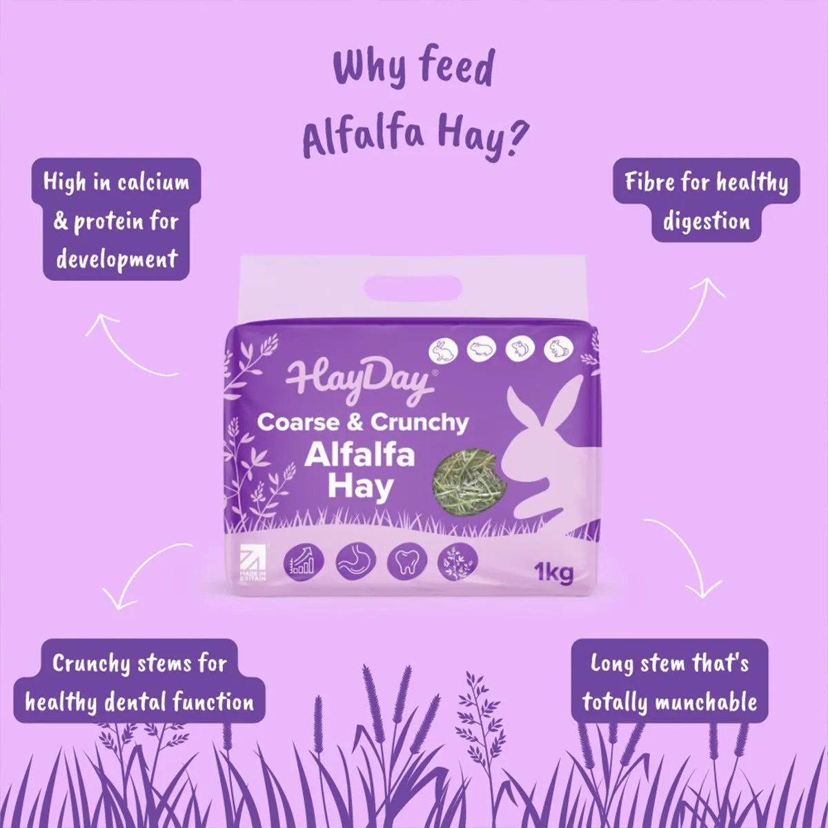 HayPigs HayDay Alfalfa hooi 1kg calciumrijk