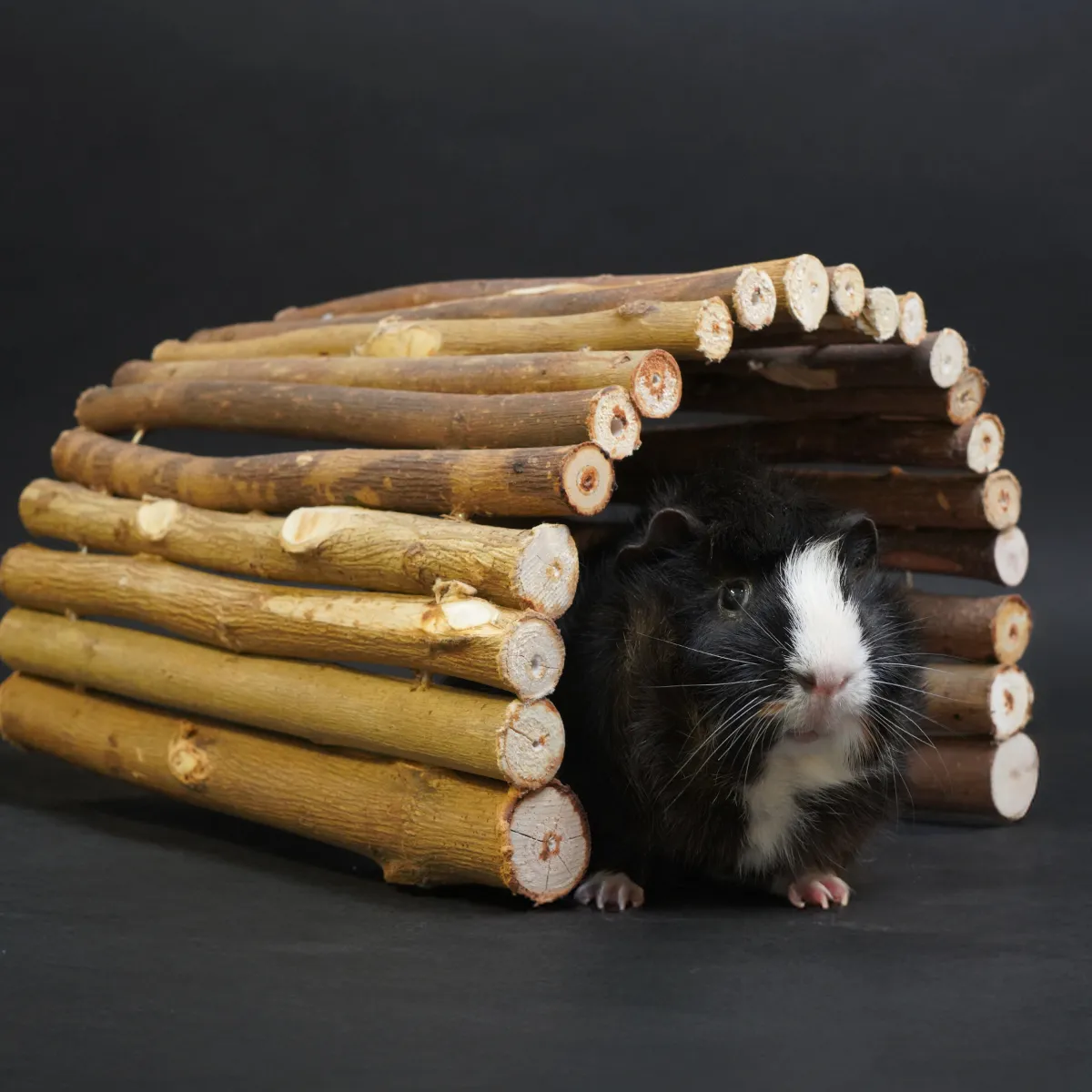 Jouw Cavia Houten Brug Dark S wilgenbrug donker knaagbaar