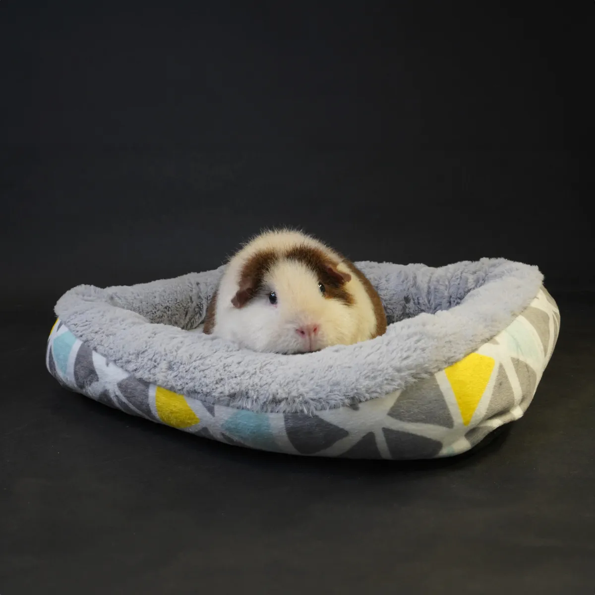 Jouw Cavia Snuggle Bed M caviabedje antislip
