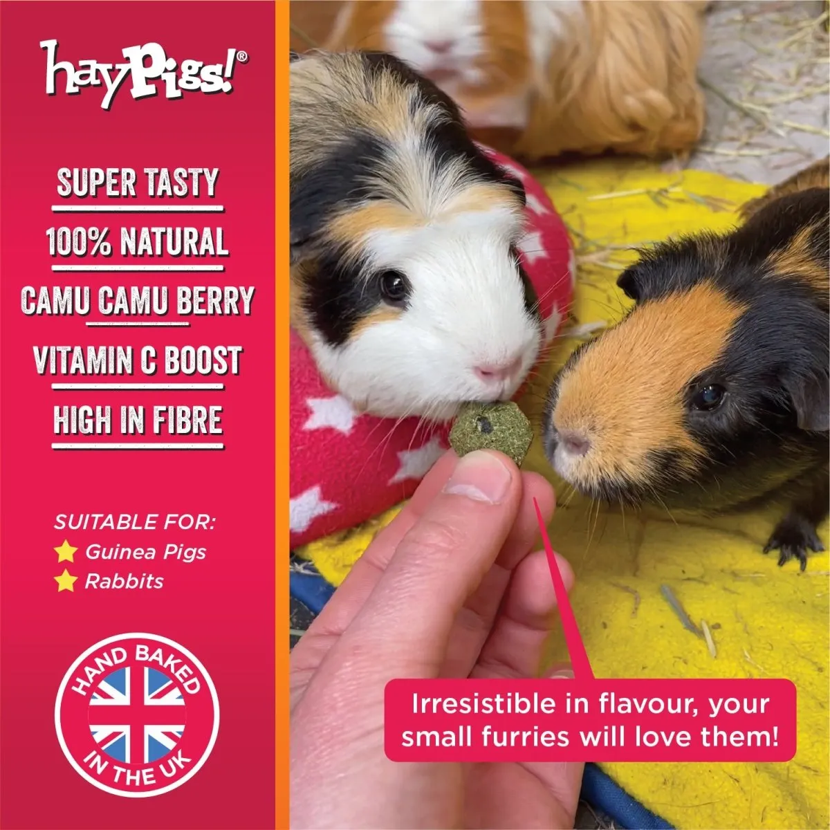 HayPigs Piggy Nom Noms snack wortel koriander 70g vezelrijk