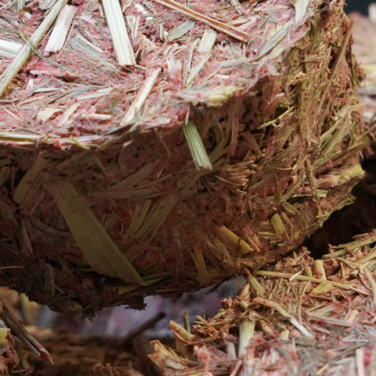 Jouw Cavia Hay Rondo's caviasnack rode biet natuurlijk