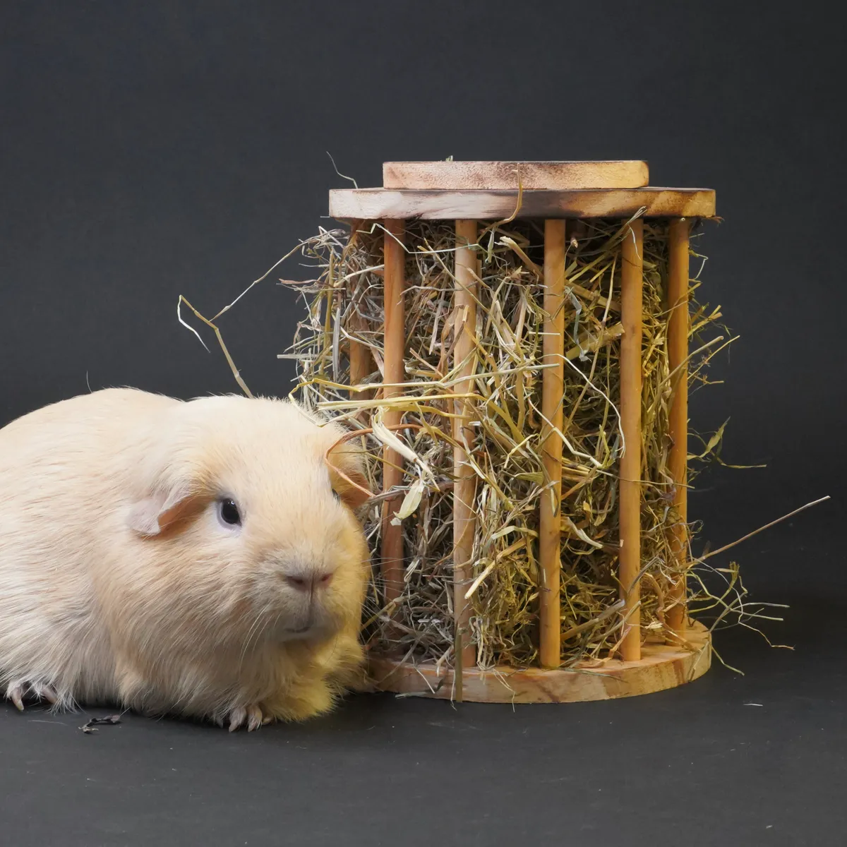 Jouw Cavia Hay Stand Round hooiruif hout rond