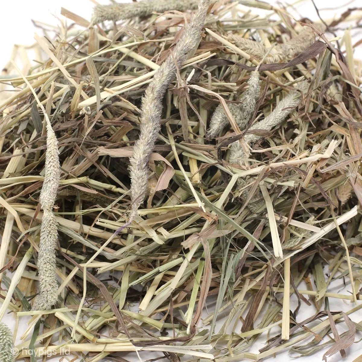 HayPigs Timothy hooi voor cavia's 1 kg
