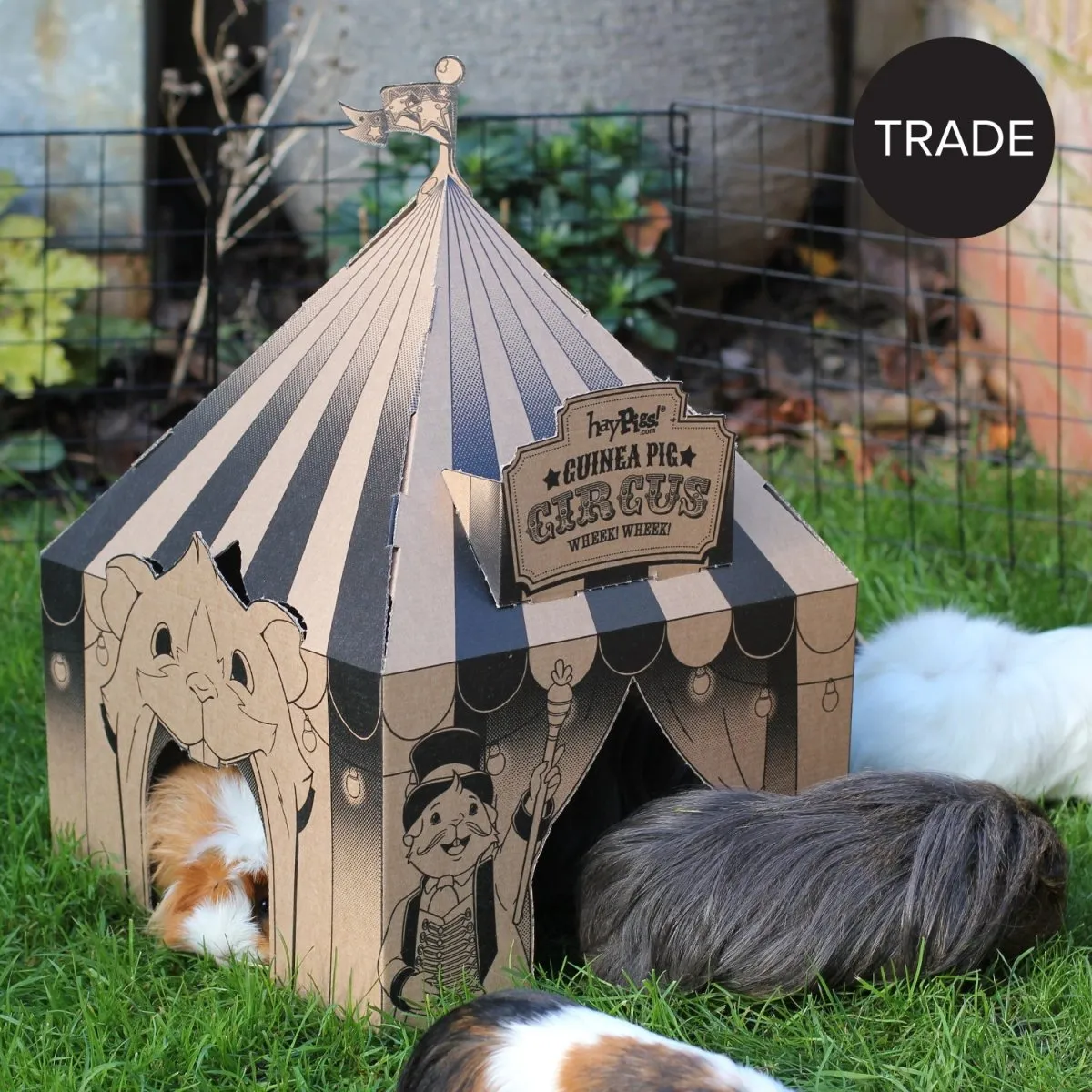 HayPigs Pig Top Playhouse speelhuis karton circus 33x33x40cm