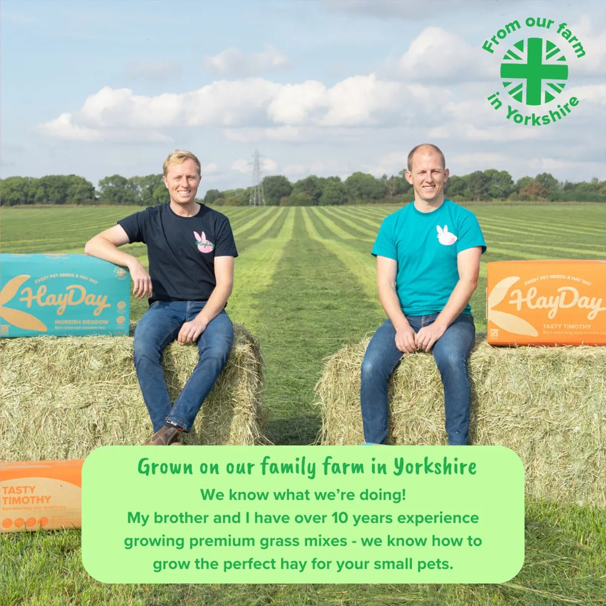 HayDay Oat Hay haverhooi 1kg vezelrijk